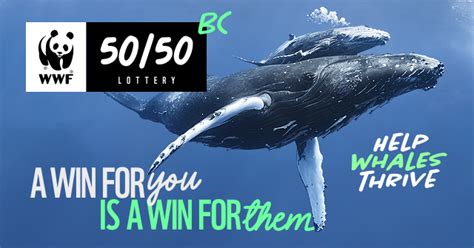 wwf lottery login|Home .
